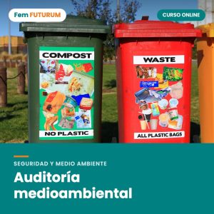 Auditoría medioambiental – curso online Fem FUTURUM
