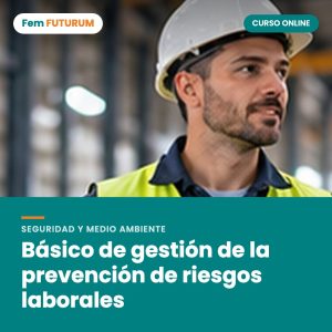 Básico de gestión de la prevención de riesgos laborales – curso online Fem FUTURUM
