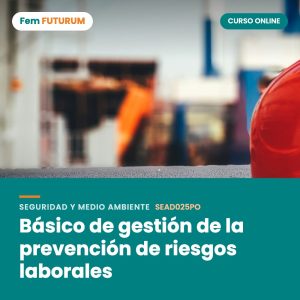 Básico de gestión de la prevención de riesgos laborales – curso online Fem FUTURUM