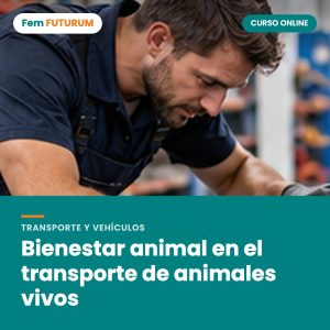 Bienestar animal en el transporte de animales vivos – curso online Fem FUTURUM