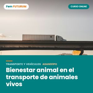 Bienestar animal en el transporte de animales vivos – curso online Fem FUTURUM