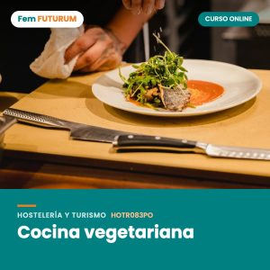 Cocina vegetariana – curso online Fem FUTURUM