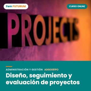 Diseño, seguimiento y evaluación de proyectos – curso online Fem FUTURUM