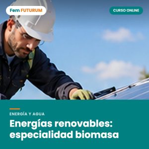 Energías renovables: especialidad biomasa – curso online Fem FUTURUM