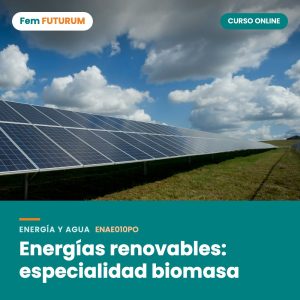 Energías renovables: especialidad biomasa – curso online Fem FUTURUM