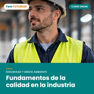 Fundamentos de la calidad en la industria – curso online Fem FUTURUM