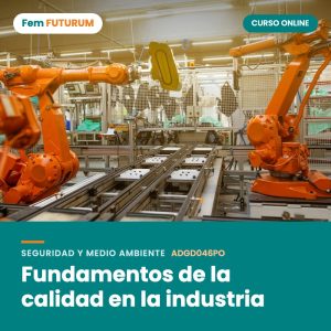 Fundamentos de la calidad en la industria – curso online Fem FUTURUM