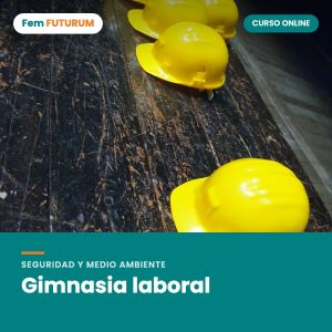 Gimnasia laboral – curso online Fem FUTURUM