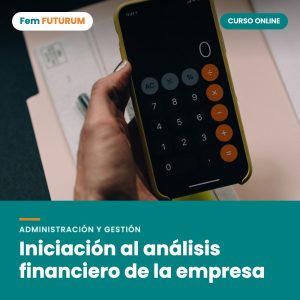 Iniciación al análisis financiero de la empresa – curso online Fem FUTURUM