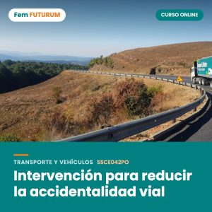 Intervención para reducir la accidentalidad vial – curso online Fem FUTURUM