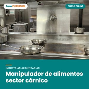Manipulador de alimentos sector cárnico – curso online Fem FUTURUM