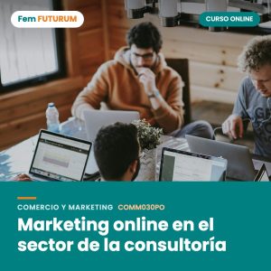 Marketing online en el sector de la consultoría – curso online Fem FUTURUM