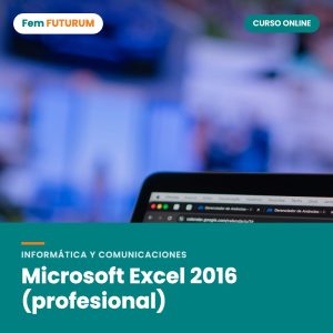 Microsoft Excel 2016 (profesional) – curso online Fem FUTURUM