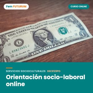 Orientación socio-laboral online – curso online Fem FUTURUM