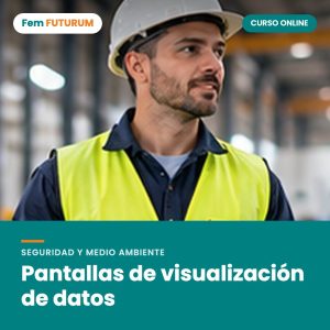 Pantallas de visualización de datos – curso online Fem FUTURUM