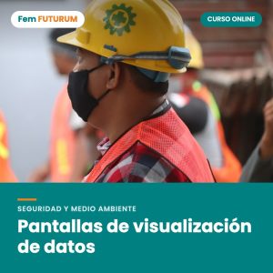 Pantallas de visualización de datos – curso online Fem FUTURUM