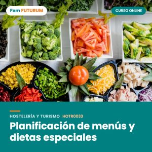 Planificación de menús y dietas especiales – curso online Fem FUTURUM