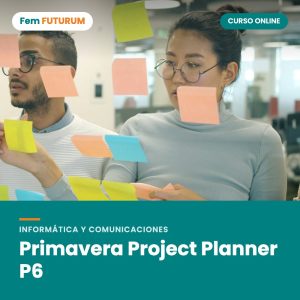 Primavera Project Planner P6 – curso online Fem FUTURUM
