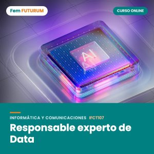 Responsable experto de Data – curso online Fem FUTURUM