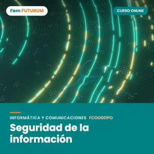Seguridad de la información – curso online Fem FUTURUM