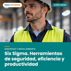 Six Sigma. Herramientas de seguridad, eficiencia y productividad – curso online Fem FUTURUM